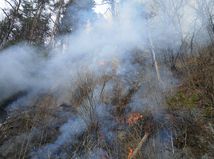 les požiar veľká fatra