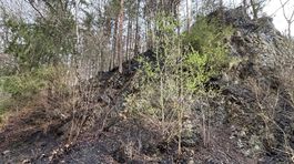 V Národnom parku Veľká Fatra bol v nedeľu (19....