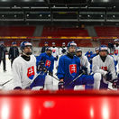 hockey players under 18 years of age