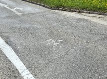 Hrbol Kosice Popradska  7 