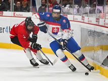 Česi hlásia: Slováci nás tromfli! Majú...