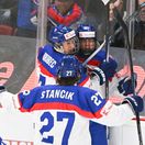 Hockey, Slovakia, WC under 18 years