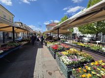 Trhovisko Dominikanske namestie Kosice  9 