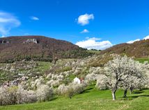 Brdárka / Čerešne /