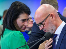 SR Politika SaS Kongres Republiková Rada BAX