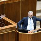 Michal Šimečka / Tibor Gašpar /