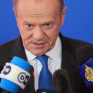 tusk