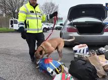 VIDEO: Masová kontrolná akcia na...
