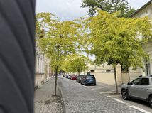 limetková alej, Lučenec