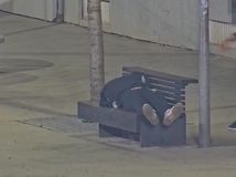 spiaci, krádež, Bratislava