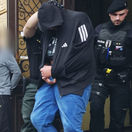 polícia, zadržaný