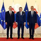 fico, pellegrini, raši