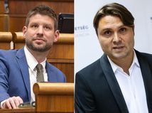 gubik simecka