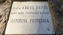 Piešťany, Kúpeľný ostrov, Dominova aleja