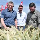 fico, takáč, Emil Macho