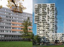 kolaz milrose namiesto kovoprojektu lubos pilc a intrade group