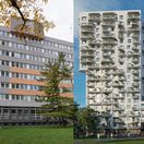 kolaz milrose namiesto kovoprojektu lubos pilc a intrade group