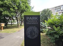 Park T Munstera Kosice  6 