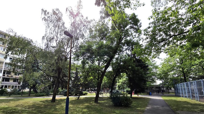 Mešťanosta Teodor Münster bol na čele Košíc...