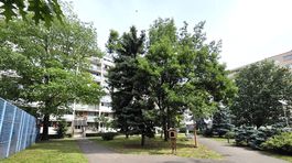 Park Teodora Münstera v Košiciach