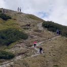Stuhla im krv v žilách. Tatranský medveď si to švihol priamo pomedzi šokovaných turistov, komentár k videu baví internet