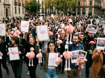 Flamingo revolúcia, Albánsko, plameniaky, Kushner