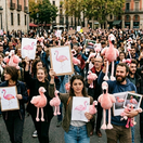 Flamingo revolúcia, Albánsko, plameniaky, Kushner