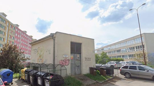Potkany terorizujú sídlisko v Košiciach. Rozhrýzajú káble v autách, vyliezajú aj cez deň a neboja sa ľudí