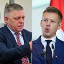 Fico, Magyar