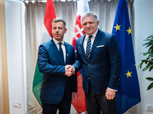 Fico, Magyar