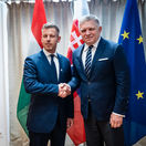Fico, Magyar