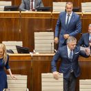Fico Sakova