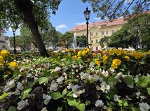 Kosice kvety  2 