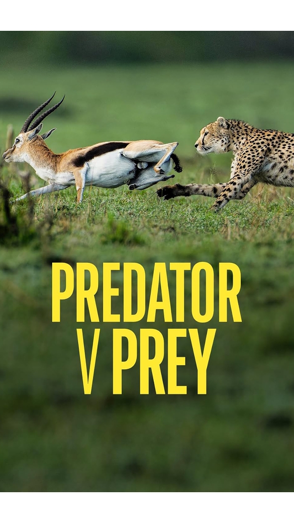 Predátor vs. kořist (3)