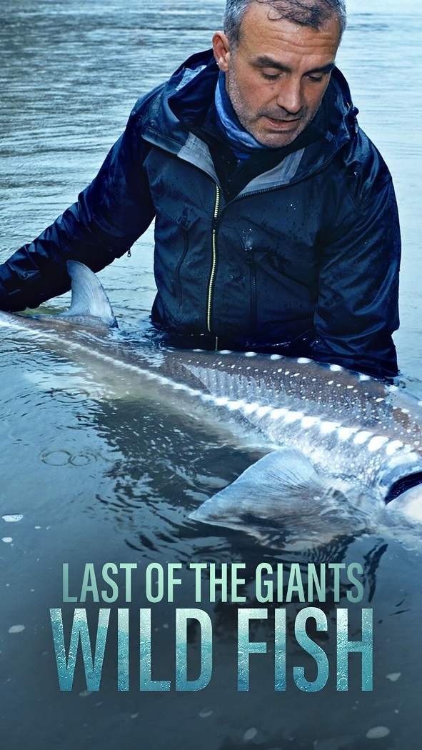 Po stopách posledních obrů II (1)